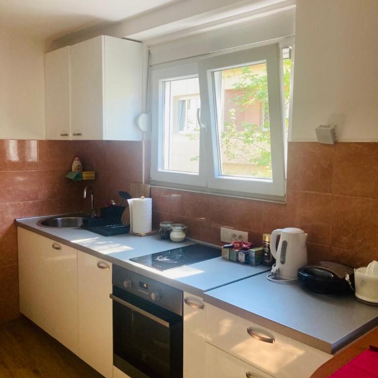 Podgorica-Downtown - Apartman sa 2 Spavaće Sobe - 4