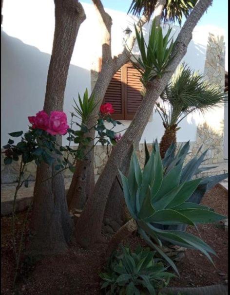 Le Villette di Pozzo Monaco - Casa Vacanze - 15