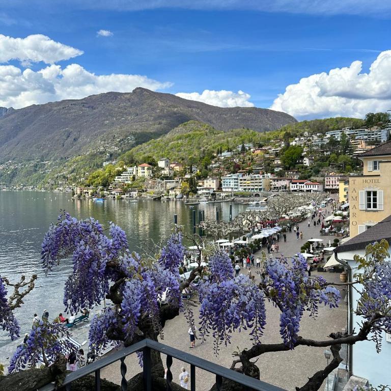 Appartamento Ascona Vista Lago - Appartamento con 2 Camere da Letto - 4