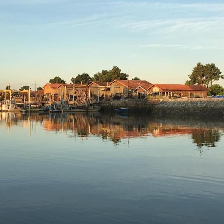 VILLA Arcachon 12 pers AVEC PISCINE chauffée 1 mai au 30 sept - Villa - 31