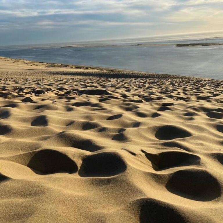 VILLA Arcachon 12 pers AVEC PISCINE chauffée 1 mai au 30 sept - Villa - 29