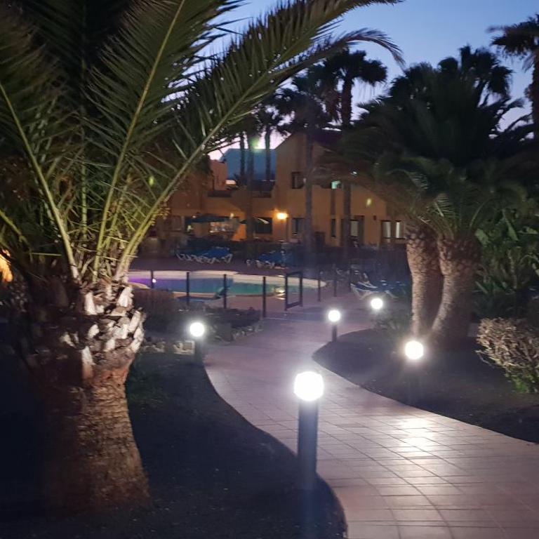 Oasis Royal 3 piscinas - Apartamento de 1 dormitorio - 4