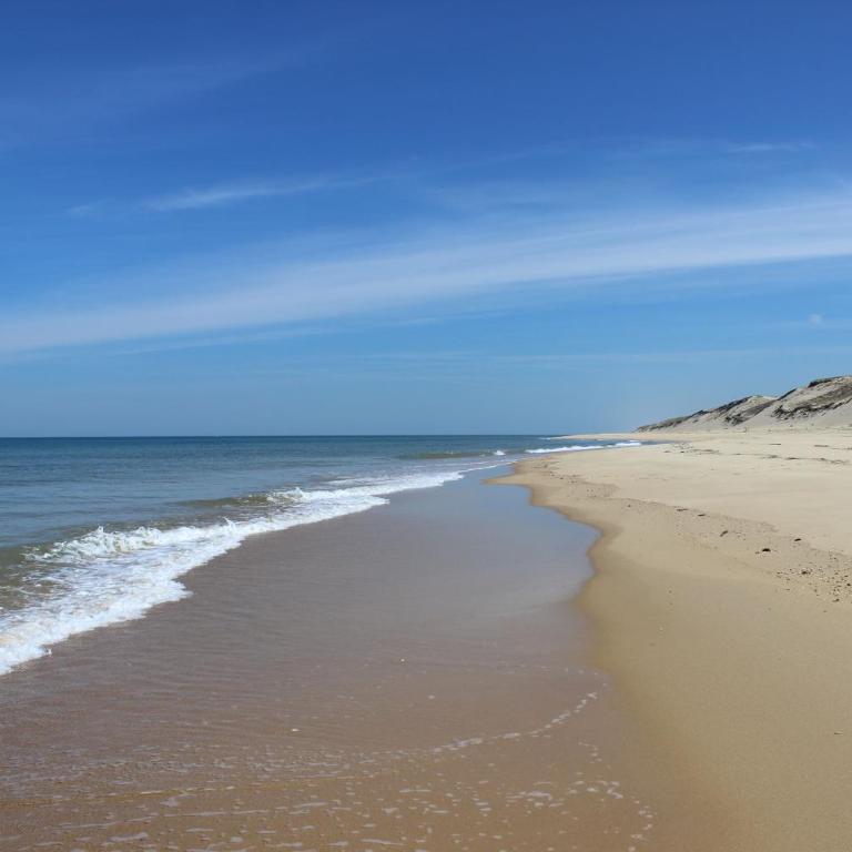 Joli chalet en bois à 7 mn des plages du Bassin d'Arcachon - Appartement 1 Chambre - 11