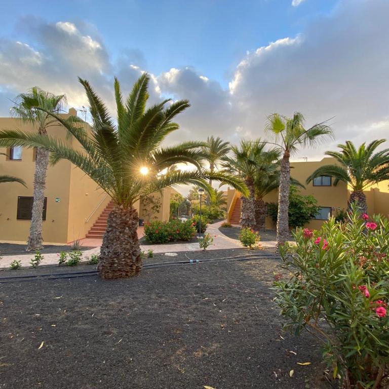 Casa ANNA - Oasis Papagayo - Apartamento de 1 dormitorio - 16