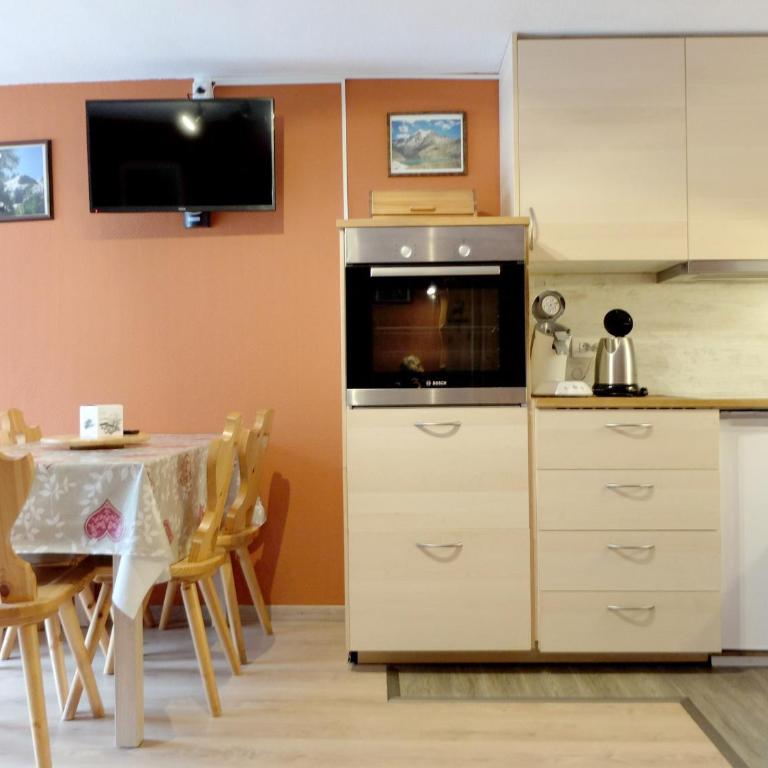 Studio ski aux pieds, balcon, animaux admis - FR-1-502-458 - Monolocale - 9