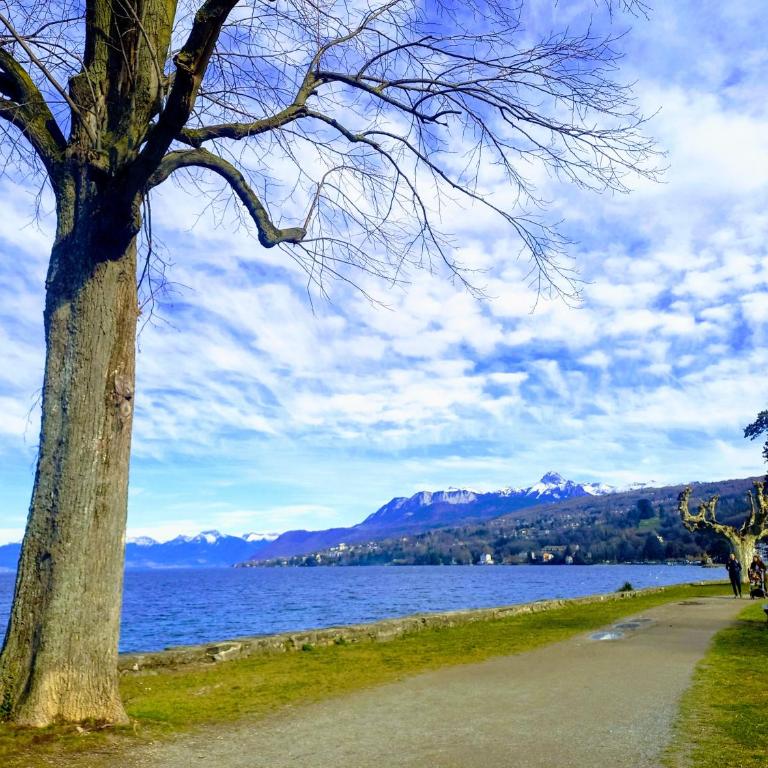 Bellerive, pieds dans l'eau lac & montagnes - Appartement 1 Chambre - 10