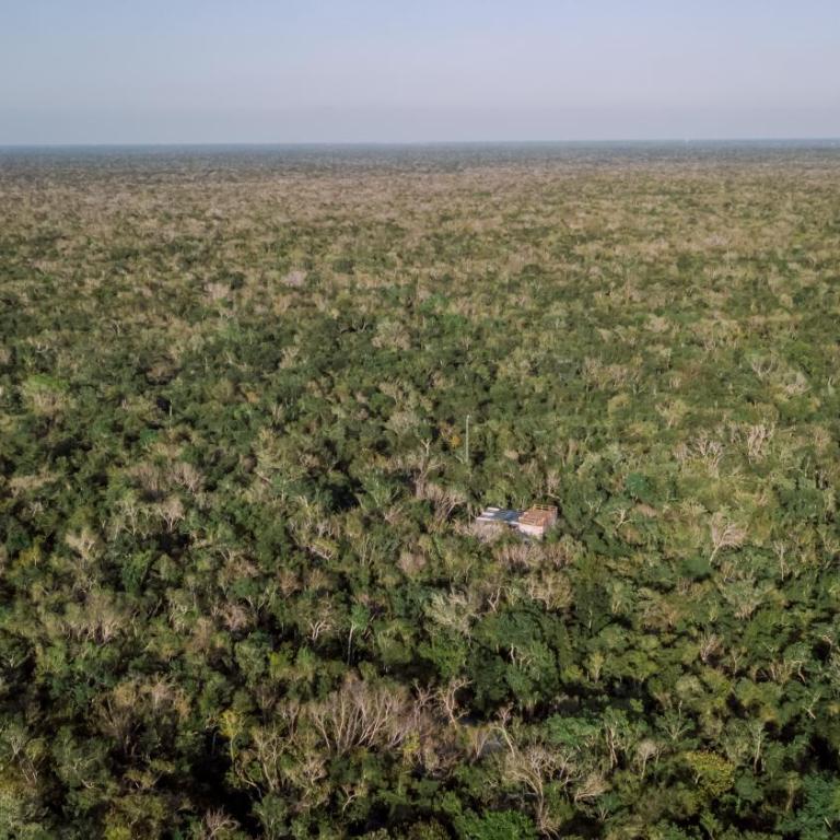 Naum - Secluded Villa with Private Cenote - Villa - 7
