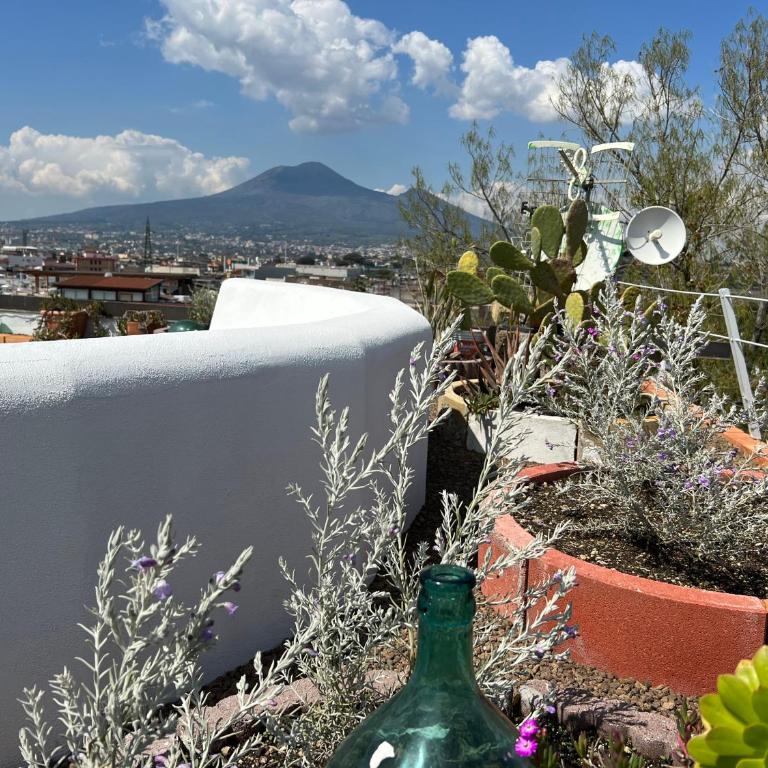 Pompei Sunday Estate "Exclusive rooms" - Suite with Terrace - 24