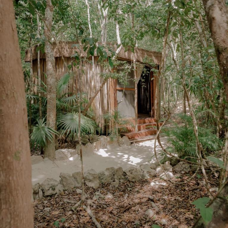Naum - Secluded Villa with Private Cenote - Villa - 34