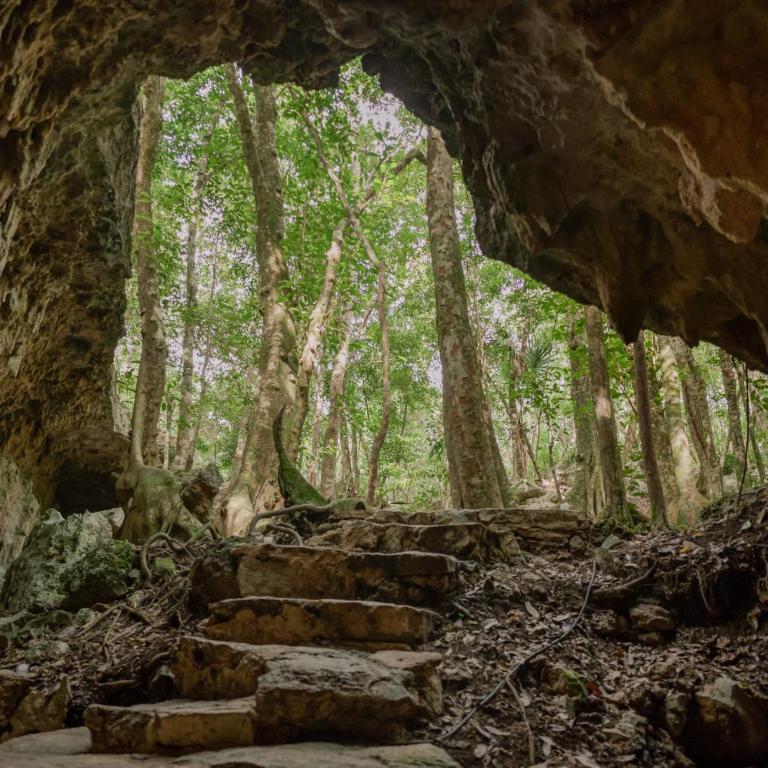Naum - Secluded Villa with Private Cenote - Villa - 40