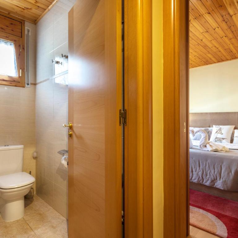 Apartamento en Vielha - Apartamento de 1 dormitorio - 18