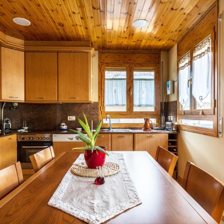 Apartamento en Vielha - Apartamento de 1 dormitorio - 14