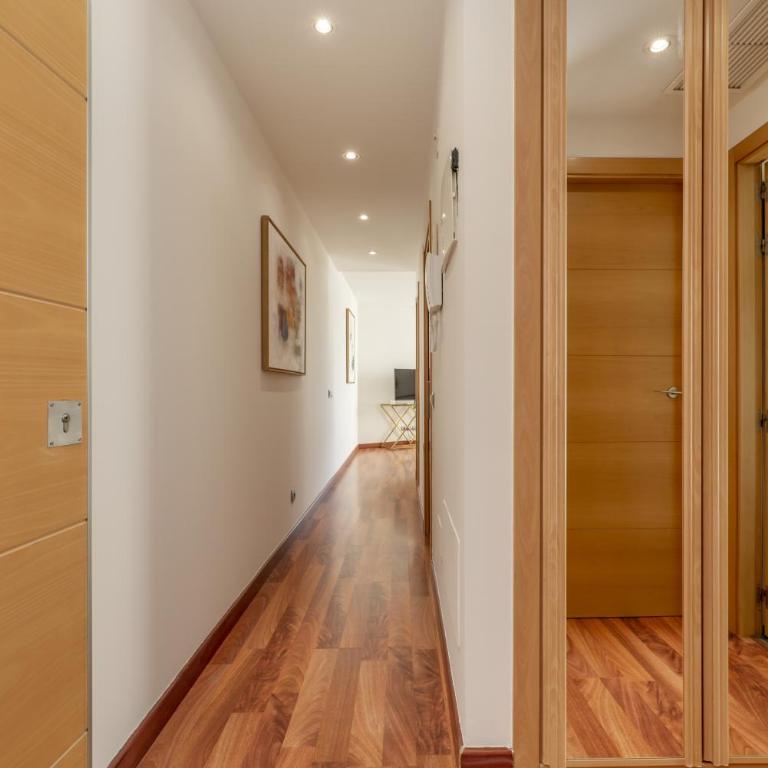 Luxury apartments in Barrio Palacio - Deluxe Apartment - 8