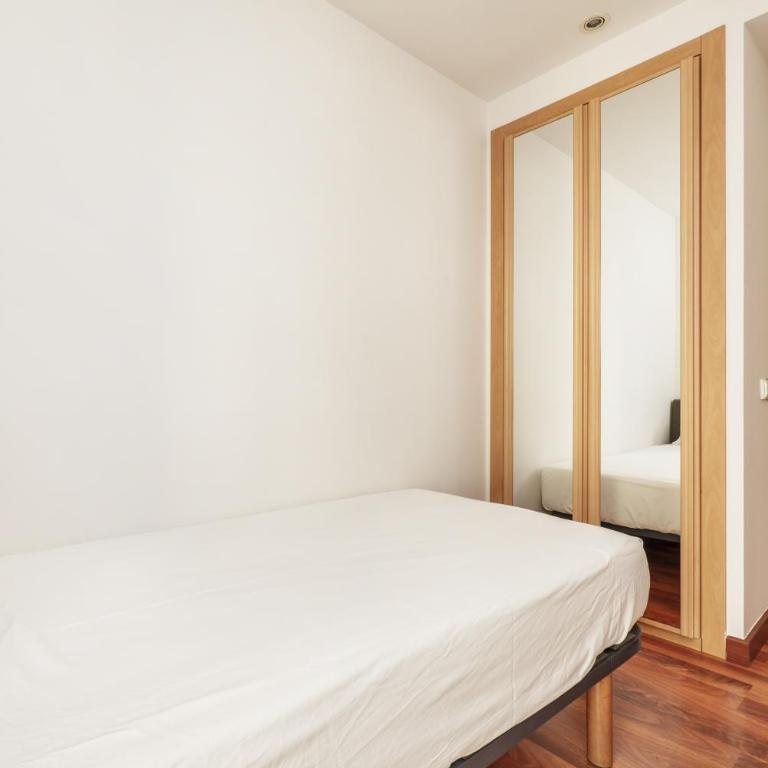 Luxury apartments in Barrio Palacio - Deluxe Apartment - 12