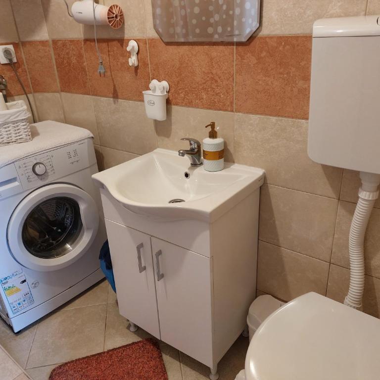 Ljubovic apartman - Apartman sa 1 Spavaćom Sobom - 21