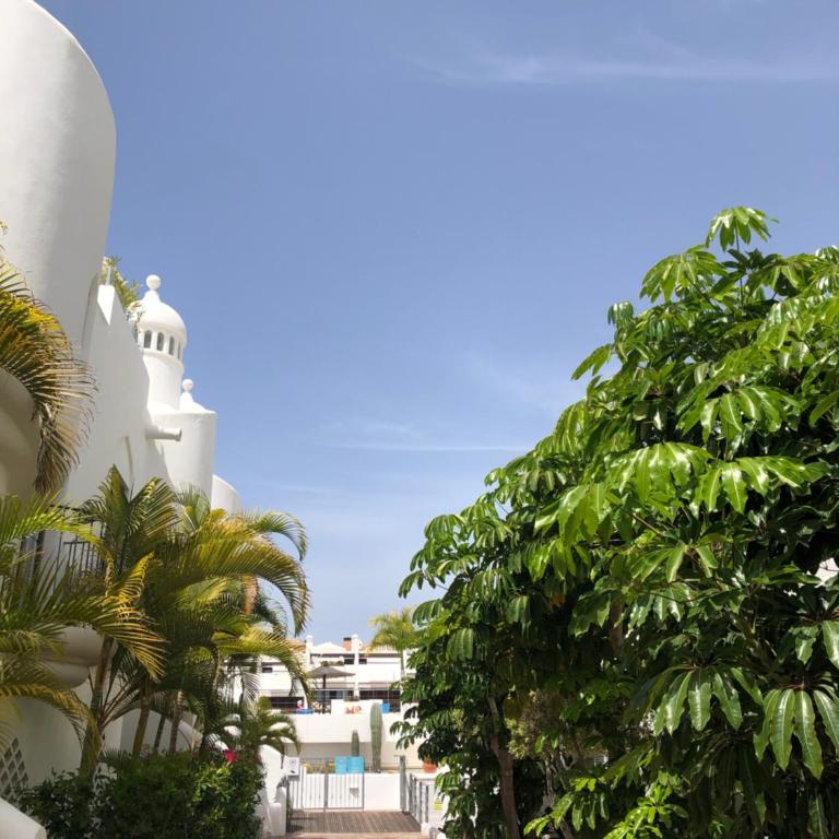The Paradise Suites by Anne, charm apartment in Adeje - Apartamento - 52