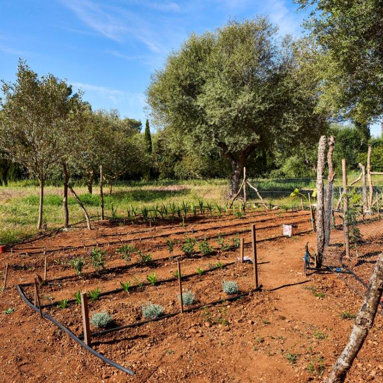 Villa Drimia - Villa - 22