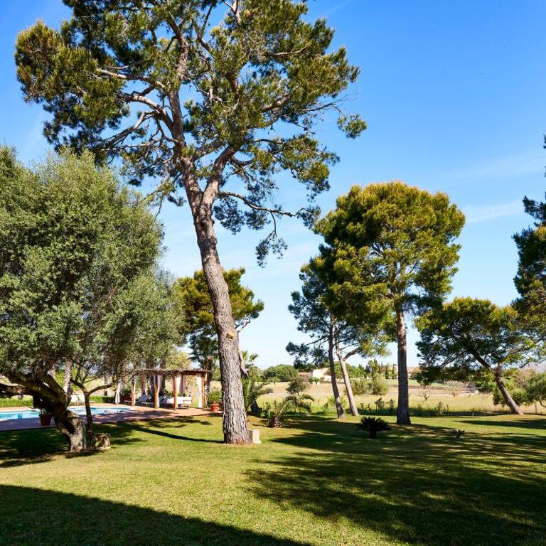 Villa Drimia - Villa - 15