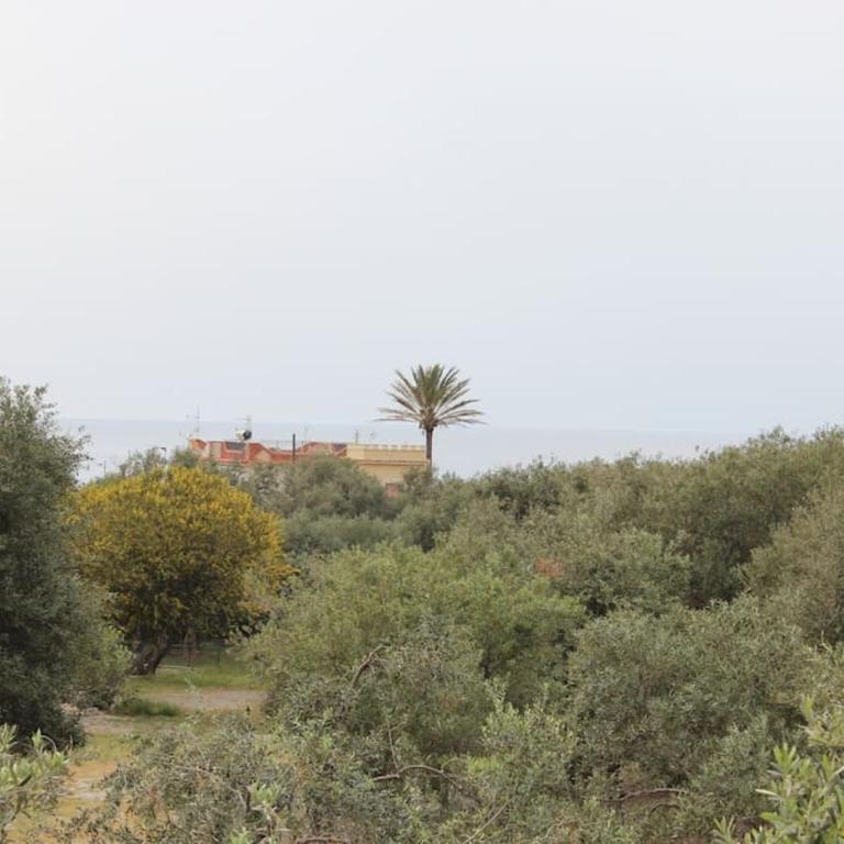 Villa al Sorriso Corallo - Maison 2 Chambres - 3