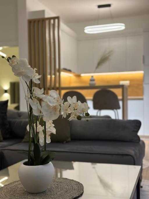 Swiss Apartments 1 - Apartman sa 2 Spavaće Sobe - 9