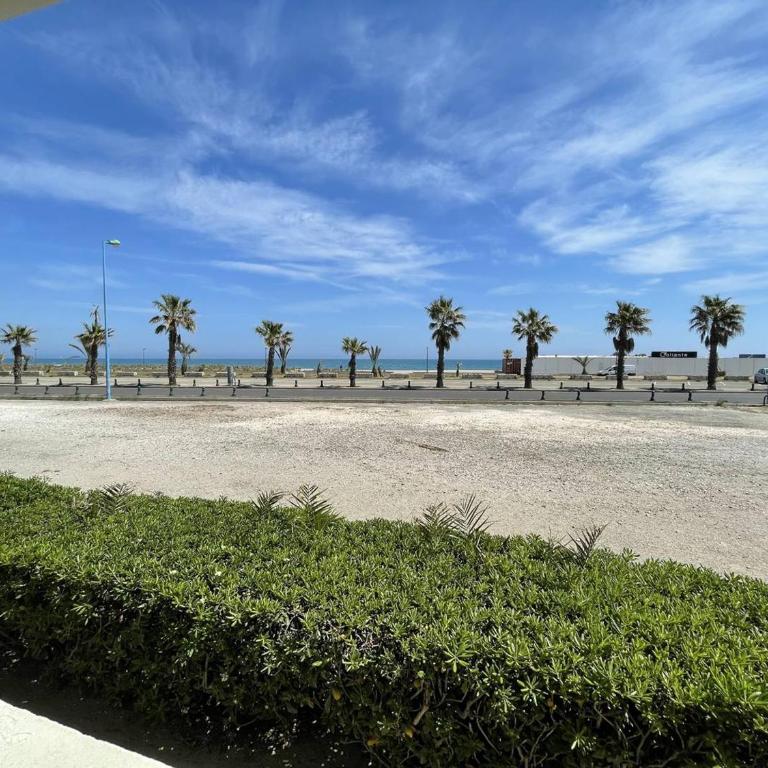 Studio 4 pers. en bord de mer avec balcon, parking et animaux admis à Saint-Cyprien. - FR-1-106-94 - Apartment - 15