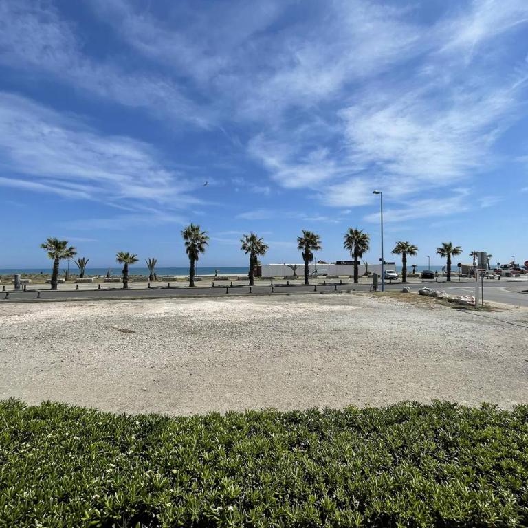 Studio 4 pers. en bord de mer avec balcon, parking et animaux admis à Saint-Cyprien. - FR-1-106-94 - Apartment - 24