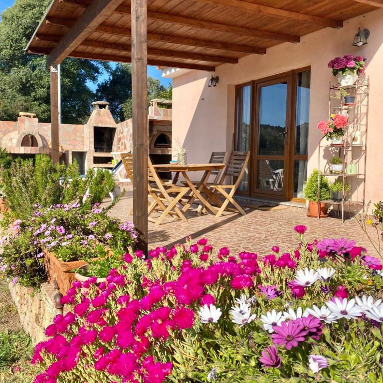 Casetta Vittoria - Casa Vacanze - 1