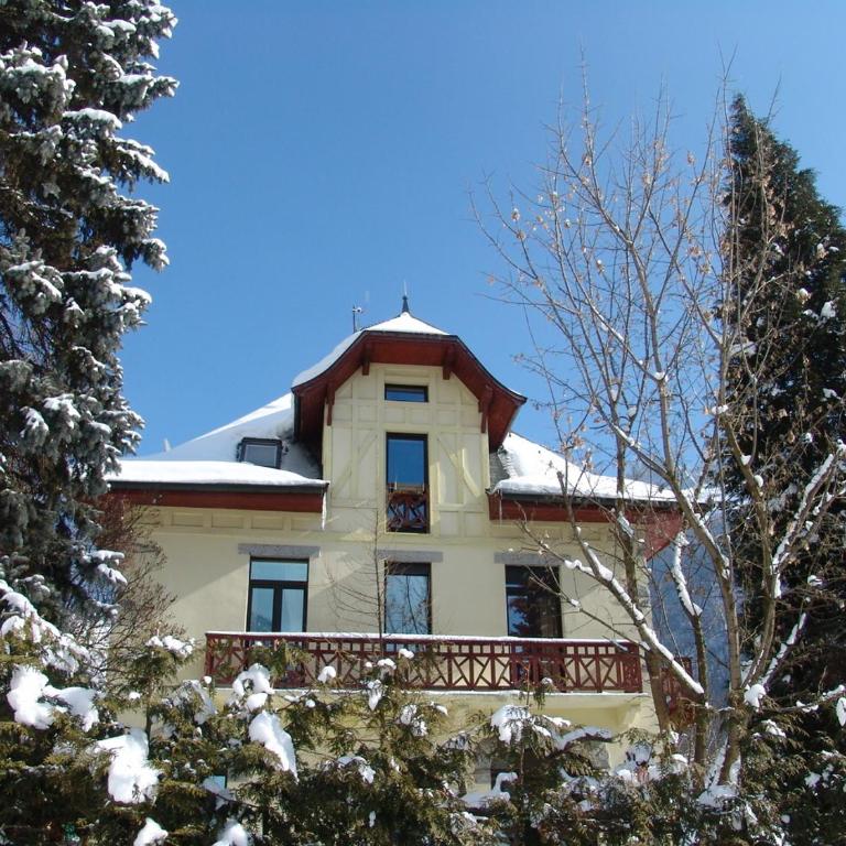 Les Terrasses des Glaciers - Appartement 2 - Apartamento de 2 dormitorios - 4