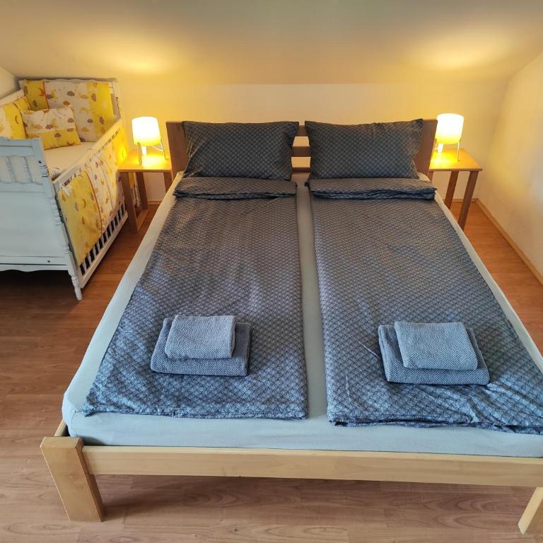 Apartman Trifunović Sokobanja - Apartman sa 1 Spavaćom Sobom - 25