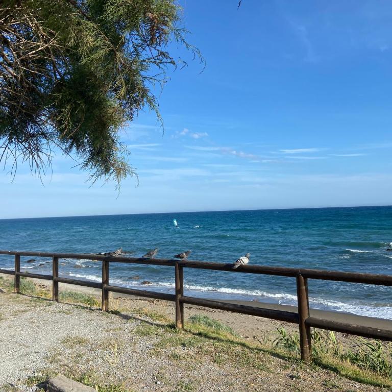 CASA NOAH a 250m de la playa NUEVO - Estudio - 23