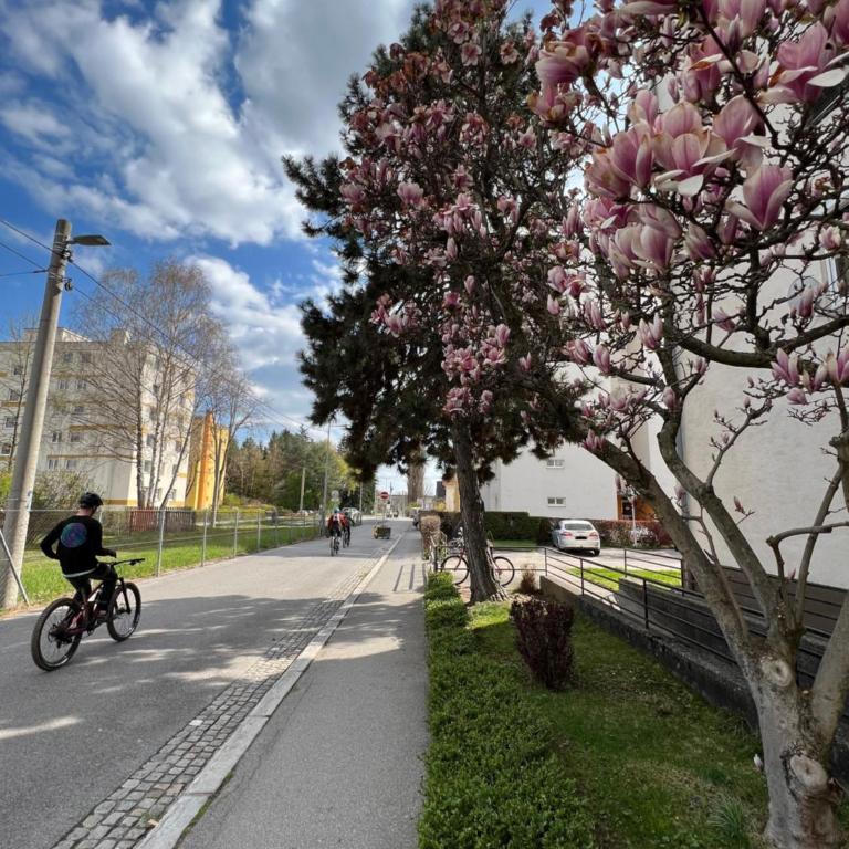 Friendly Space Apartment - Studio-Apartment mit Kingsize-Bett - 21