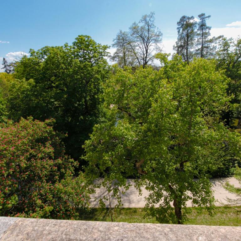 Maison Labruyère - Bordeaux Centre - Suite - Vue sur Jardin - 16