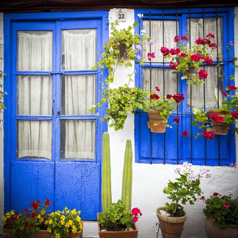 Zibá Córdoba Only Families - Apartamento de 3 dormitorios - 36