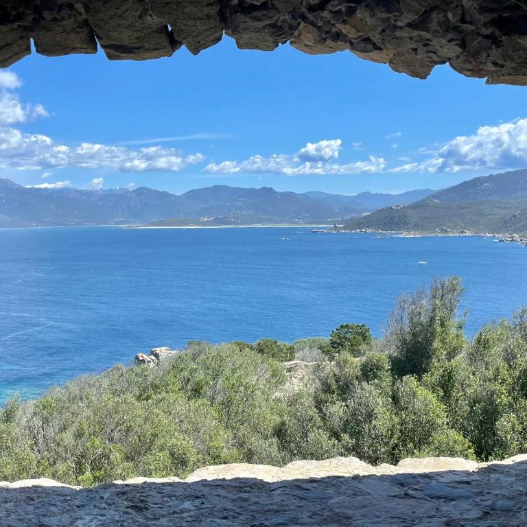 Paillote Perchée à 180 ° sur la mer - Apartment - 33