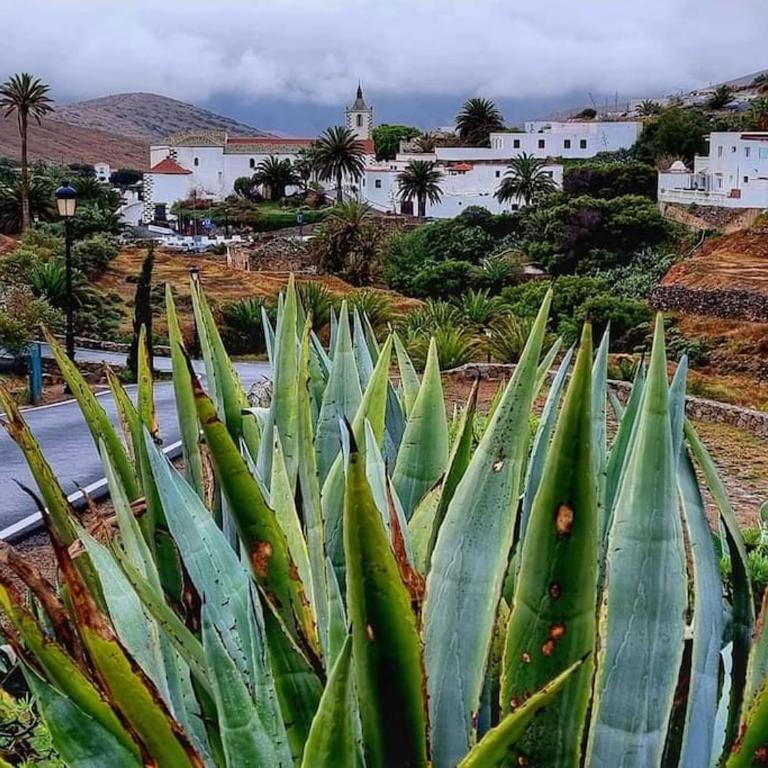 Spacieux Duplex Casa Maya Caleta de Fuste - Two-Bedroom House - 70