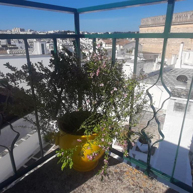 Dimora Lavinia Casa vacanze Centro storico Ostuni - Casa con 4 camere da letto - 90