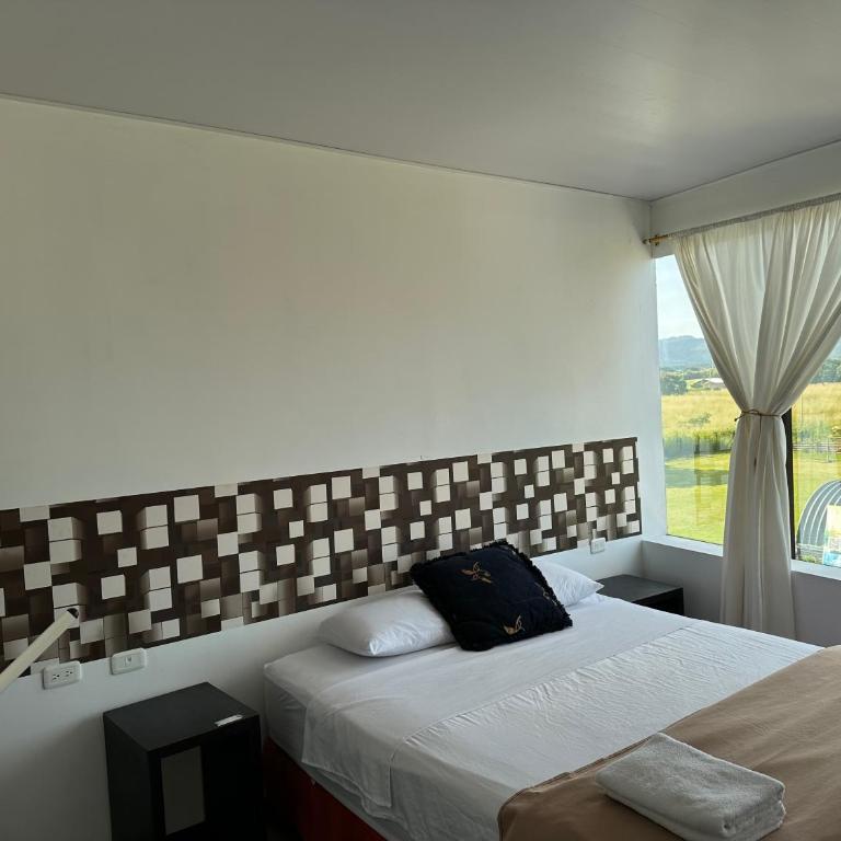 Hotel Punta Azul - Standard Queen Room - 10