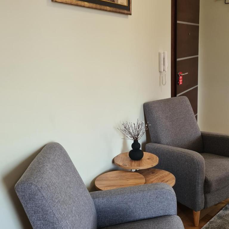 MS Apartman - Apartman sa Terasom - 8