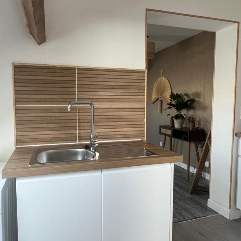 l'Ambre de Calais - Elégance et plénitude - Appartement 1 Chambre - 21
