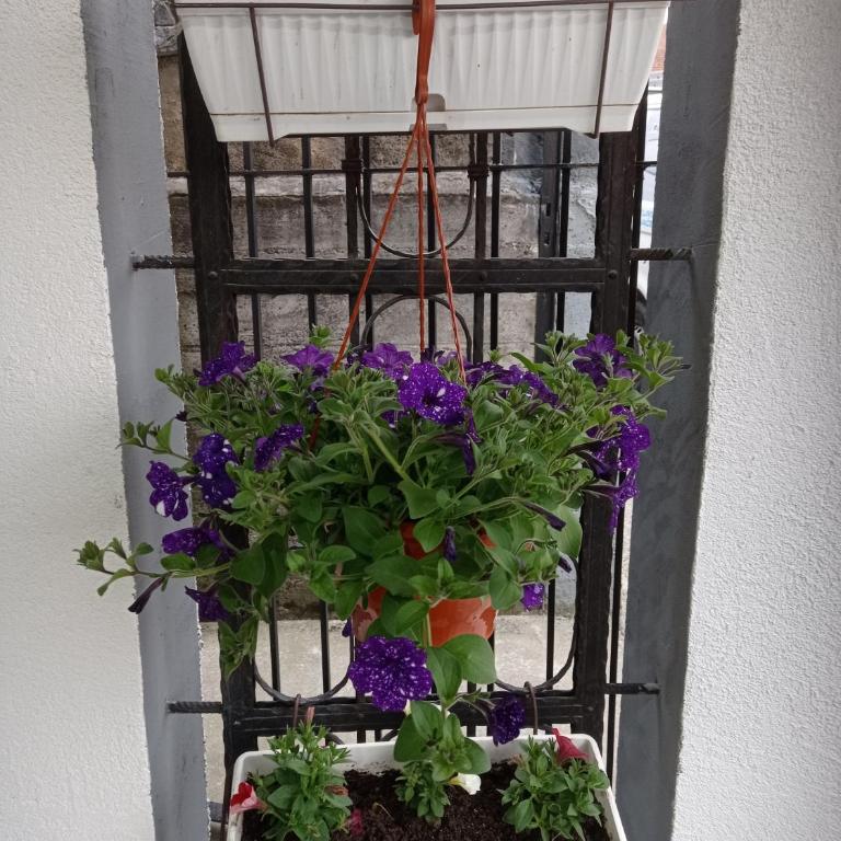 Studio apartman Sokak - One-Bedroom Apartment - 32