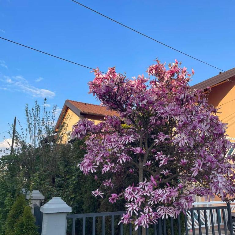 Apartman- Sarajevo - Apartman sa 2 Spavaće Sobe - 3