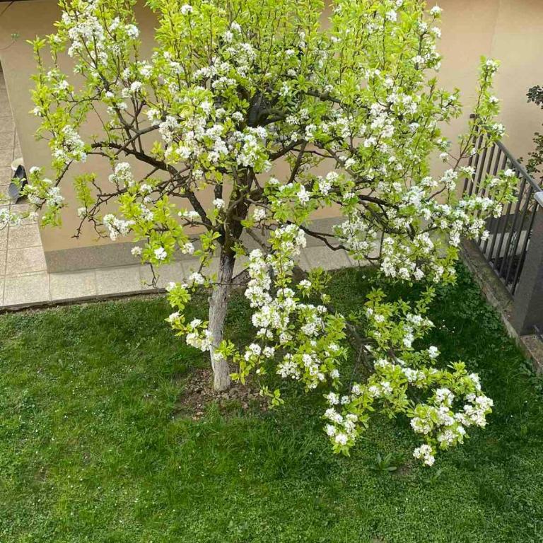 Apartman- Sarajevo - Apartman sa 2 Spavaće Sobe - 22