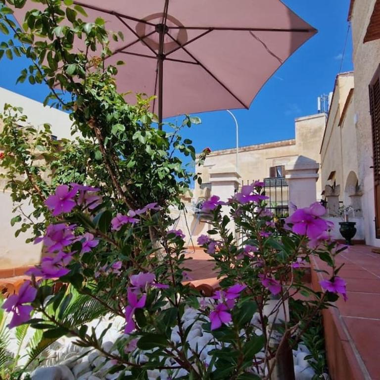 La Cava di Sasà - One-Bedroom House - 6