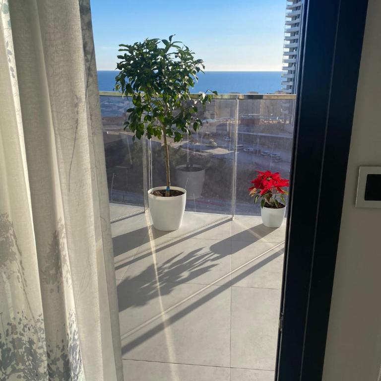Sunset Waves 15 - Two-Bedroom Apartment - 13