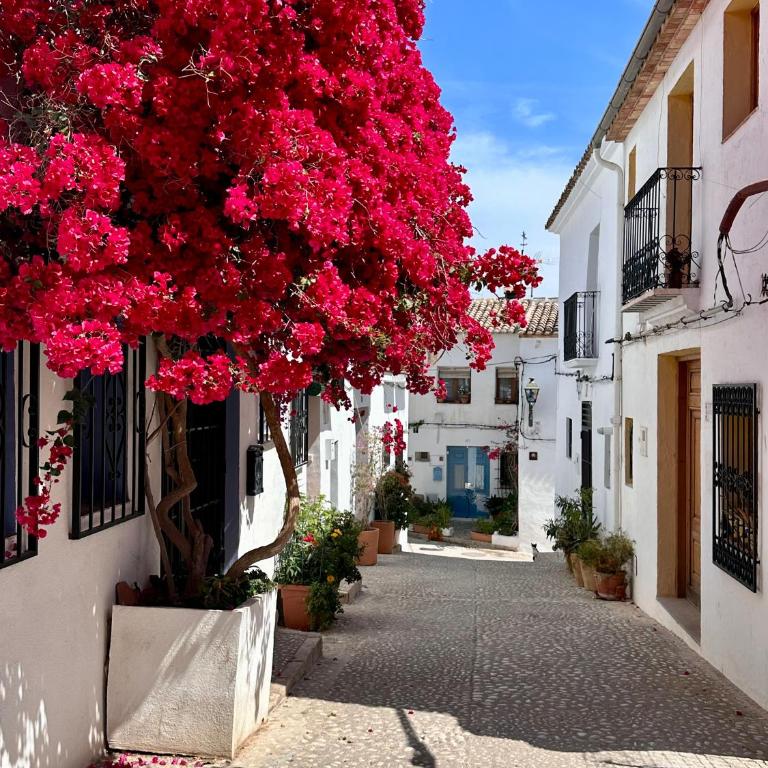 Casa Kai Altea - Torre de Bellaguarda - Casa con 1 dormitorio - 18