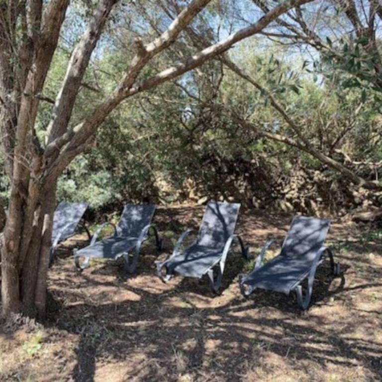 Beau T2 entre Santa Giulia et Palombaggia - - Appartamento con 1 Camera da Letto - 1