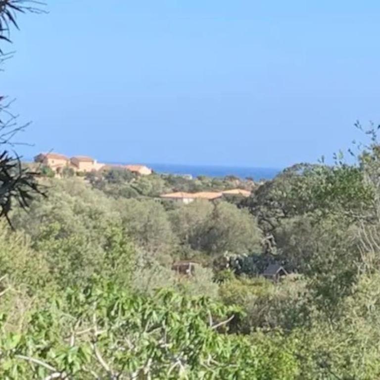Beau T2 entre Santa Giulia et Palombaggia - - Appartamento con 1 Camera da Letto - 7