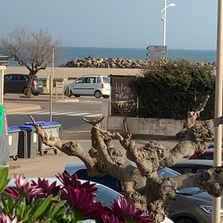 Villa Magaly T3 à 50 m de la plage et de Valras centre avec linge de lit et ménage inclus - Appartamento con 2 Camere da Letto - 1