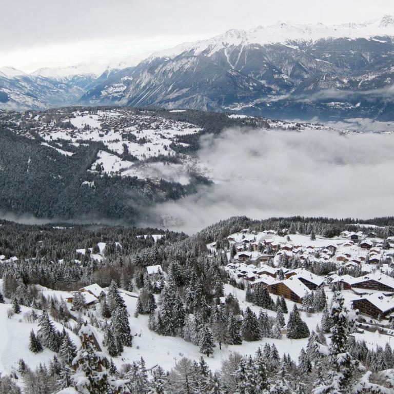 Ski-in Apartment in Anzere - Studio-Apartment - 15