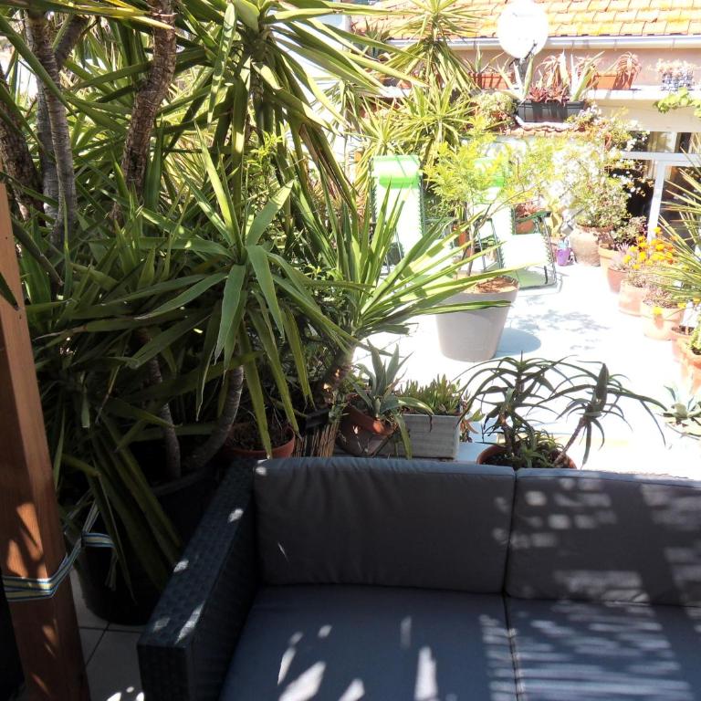 SETE BELLE MAISON DE VILLE 121 m2 A 2 mn DE LA PLAGE et SPA - Apartment mit 3 Schlafzimmern - 10